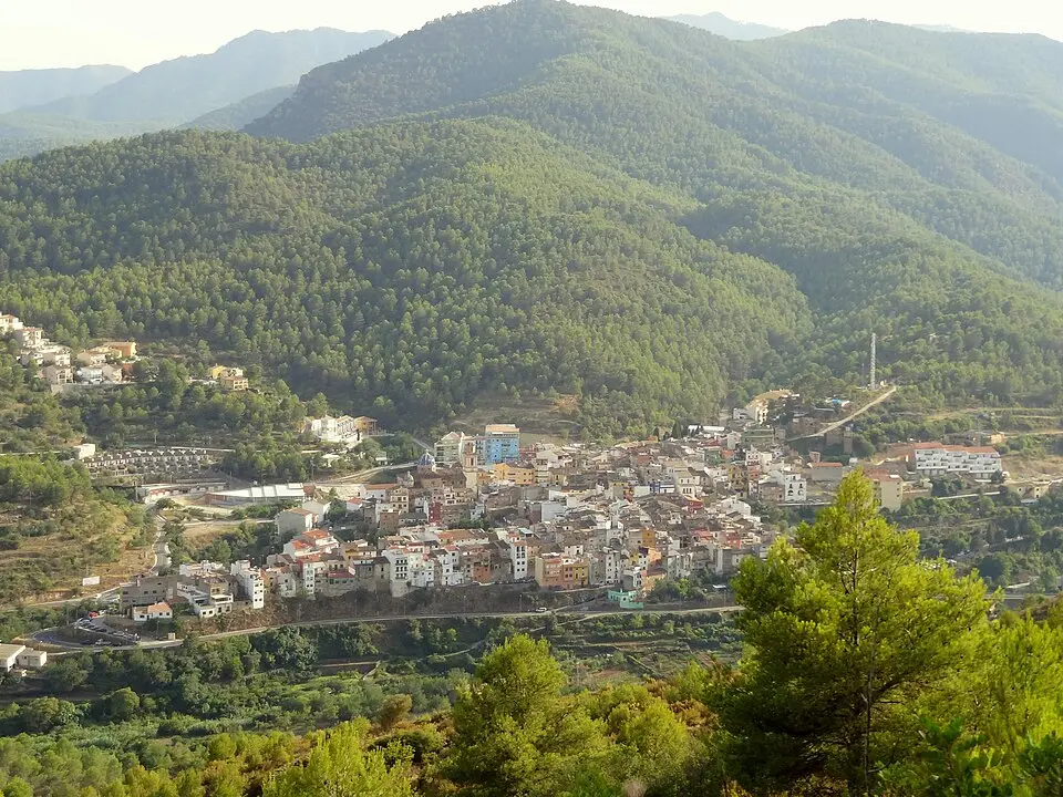 Suera / Sueras