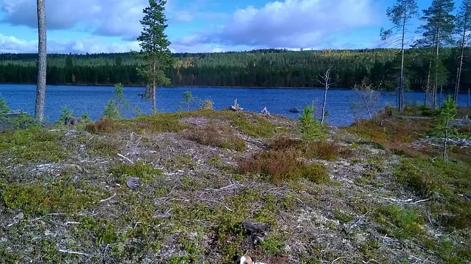 Kärmsjöbäcken