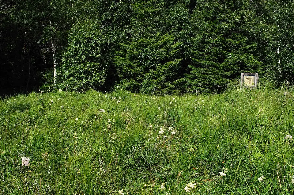Vistorp-Strängesgården
