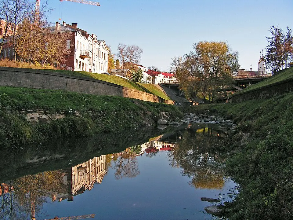 Віцьба