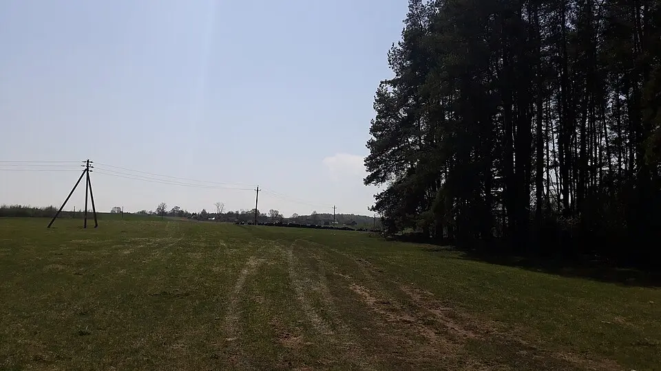 Vitkoŭščyna