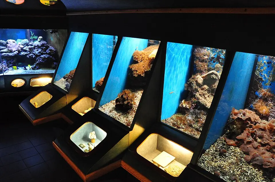 musée de la réserve géologique de Haute-Provence