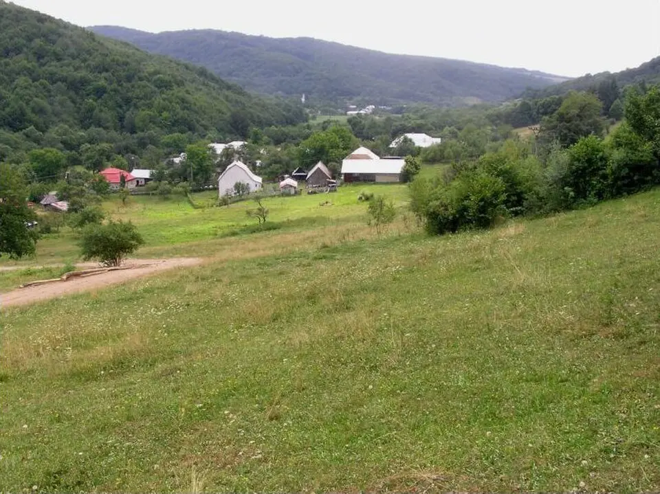 Vladiča
