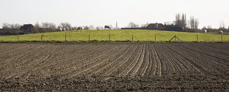 Terrein waarin een vluchtberg/kasteelberg
