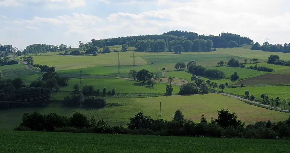 Vogelsberg (Feldatal)
