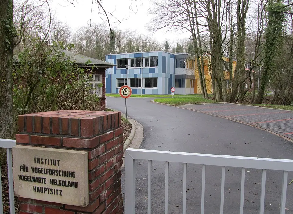 Institut für Vogelforschung „Vogelwarte Helgoland“