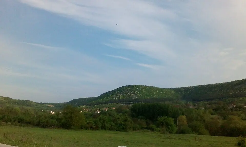 Войвода