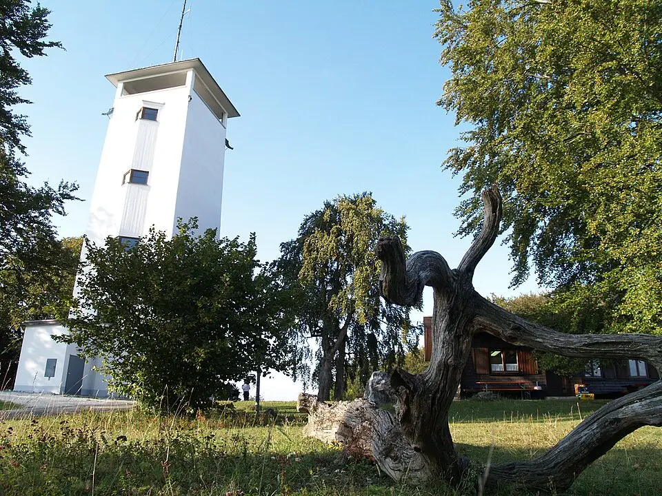 Image: Kreuzschnabel · CC BY 3.0 Volkmarsberg