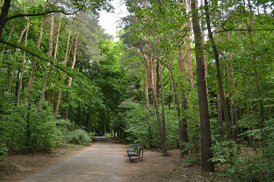 Jungfernheide