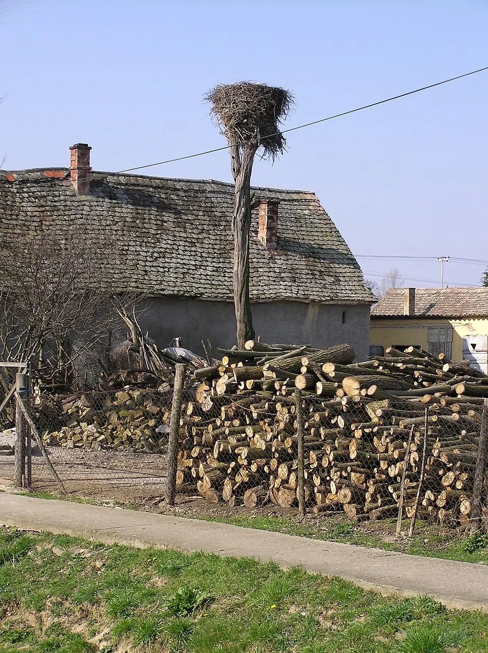 Kép: Wéber György · CC BY-SA 3.0 Baranyabán