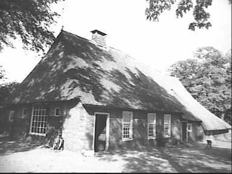 Boerderij met achterbaander en vakwerk in gevel van woondeel