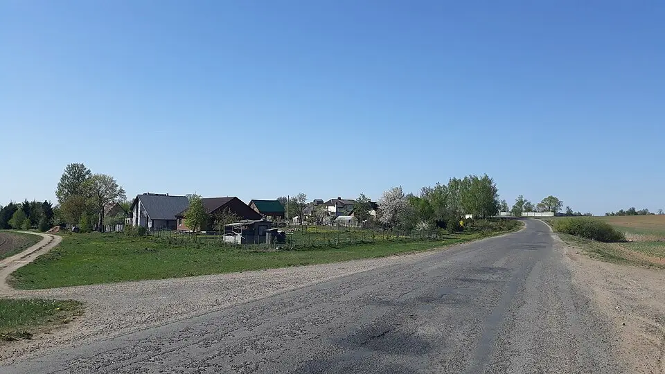 Baraviki