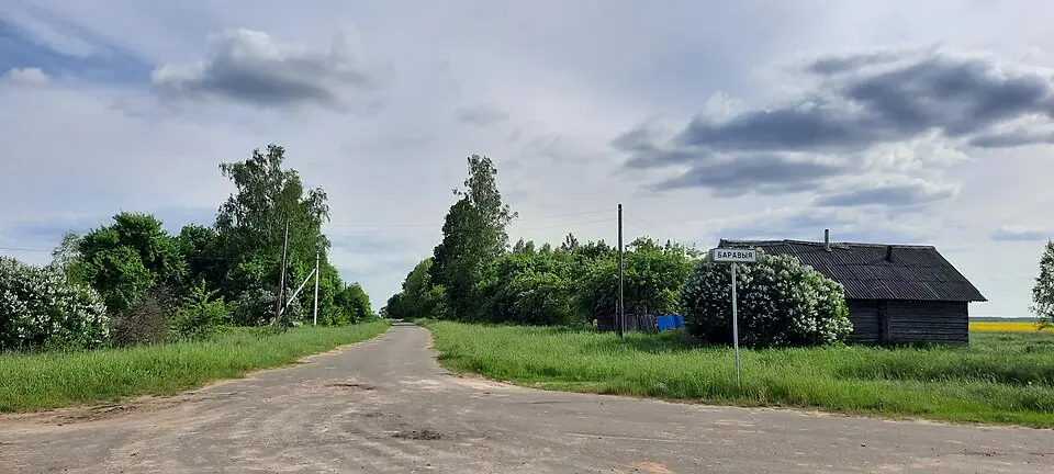 Baravyja