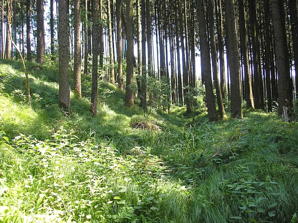 Vorderer Schlossberg