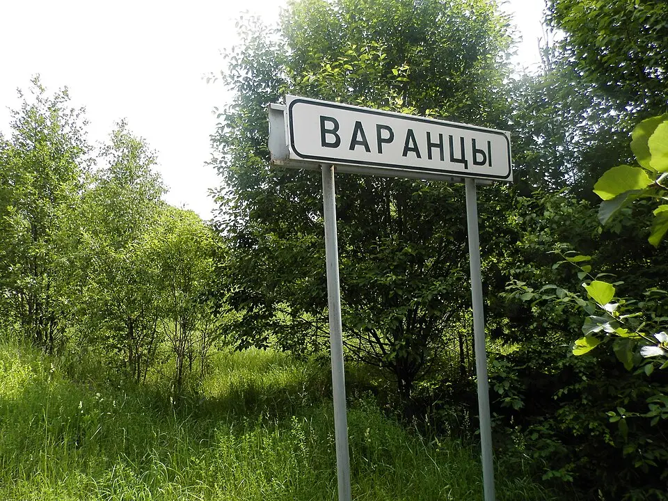 Варанцы