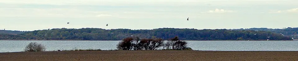 Vorsø