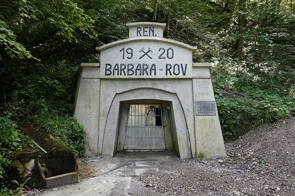 Barbara rov
