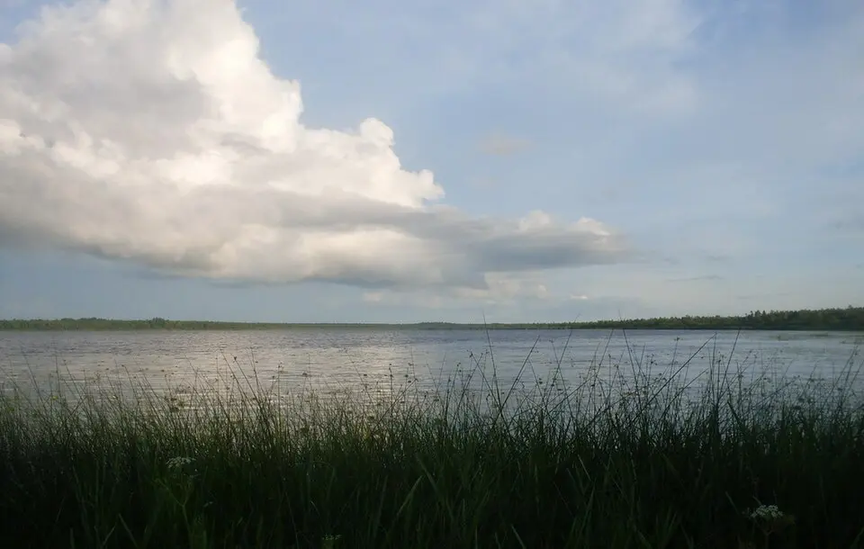 Пялік