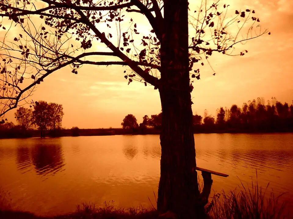 Obrázok: Uljmanski_M · CC BY-SA 3.0 Belocrkvanska jezera