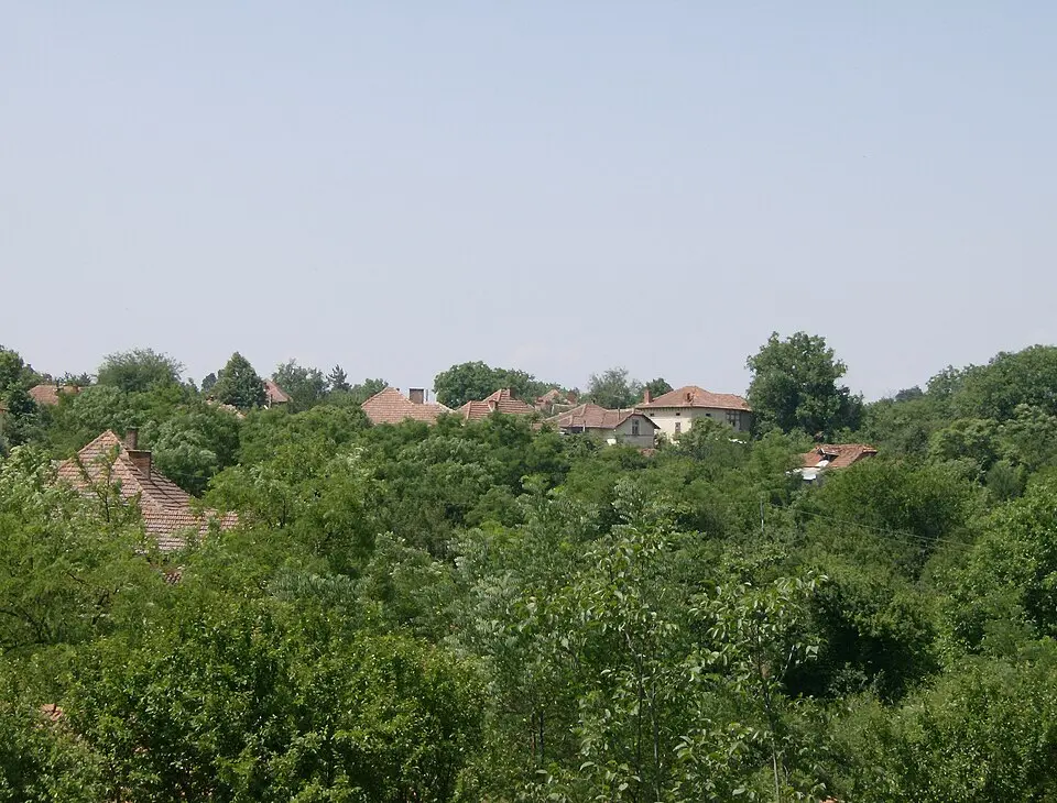 Враняк