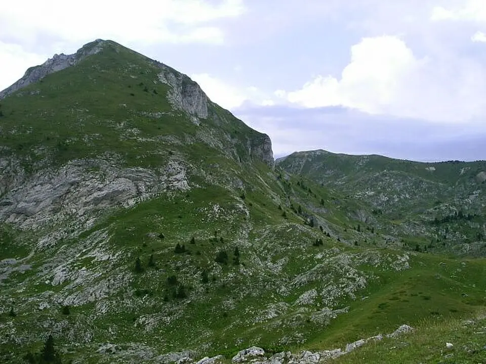 Bandera (Krivi smet)