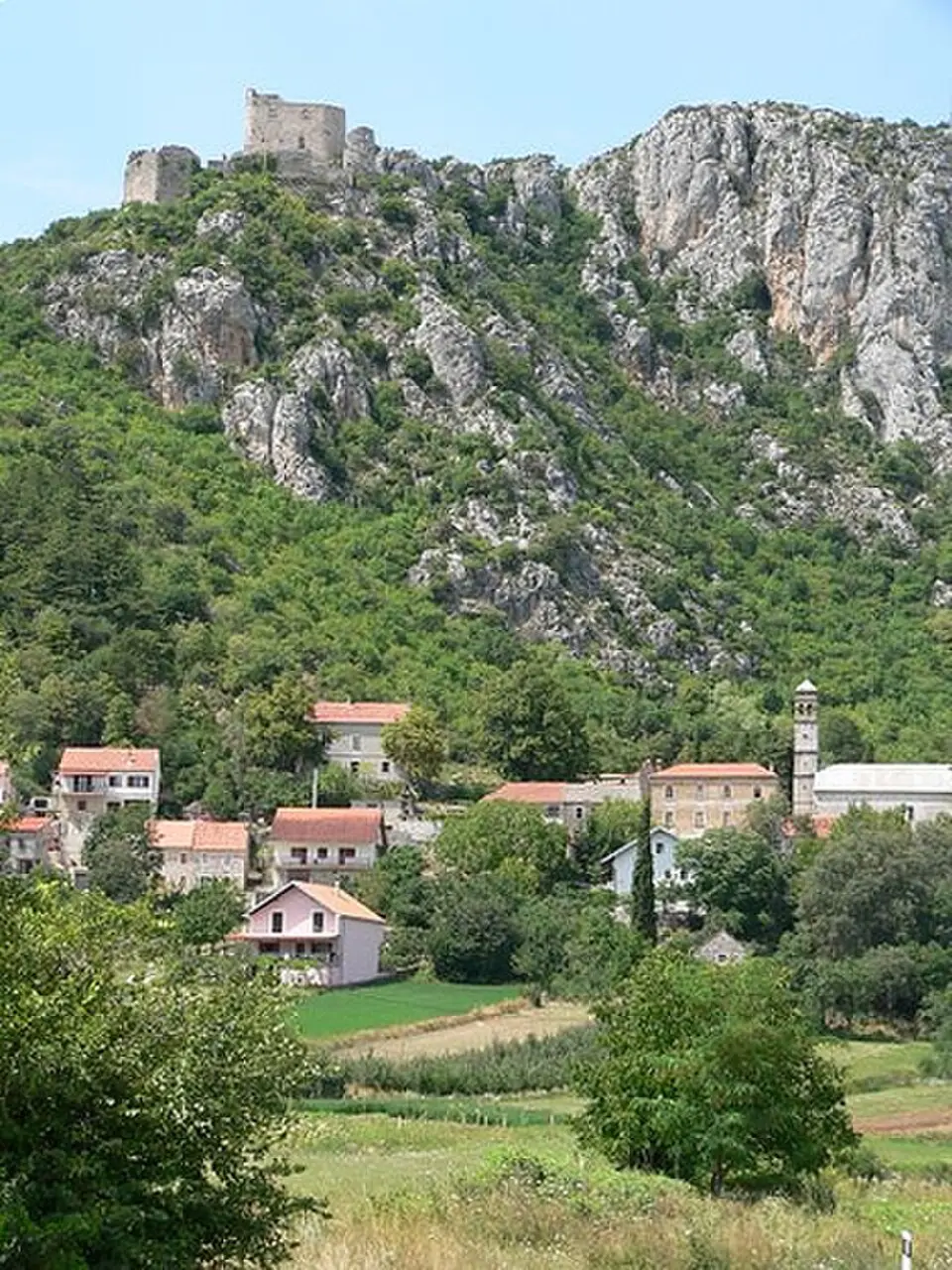 Verlicca