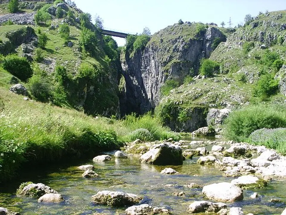 Комарница