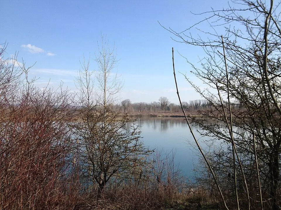Obrázok: Benoît Prieur · CC0 Grand Parc de Miribel-Jonage
