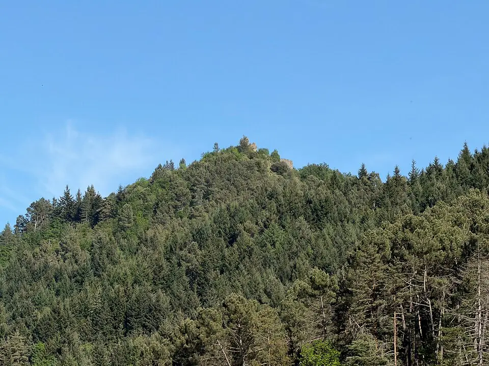 Image: Daanvr · CC BY-SA 4.0 Château de Montagut