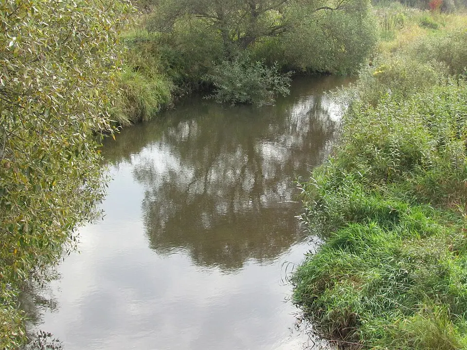 Dzvinasa