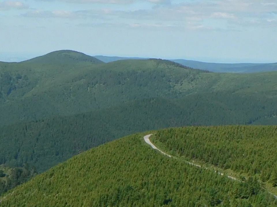 Výrovka