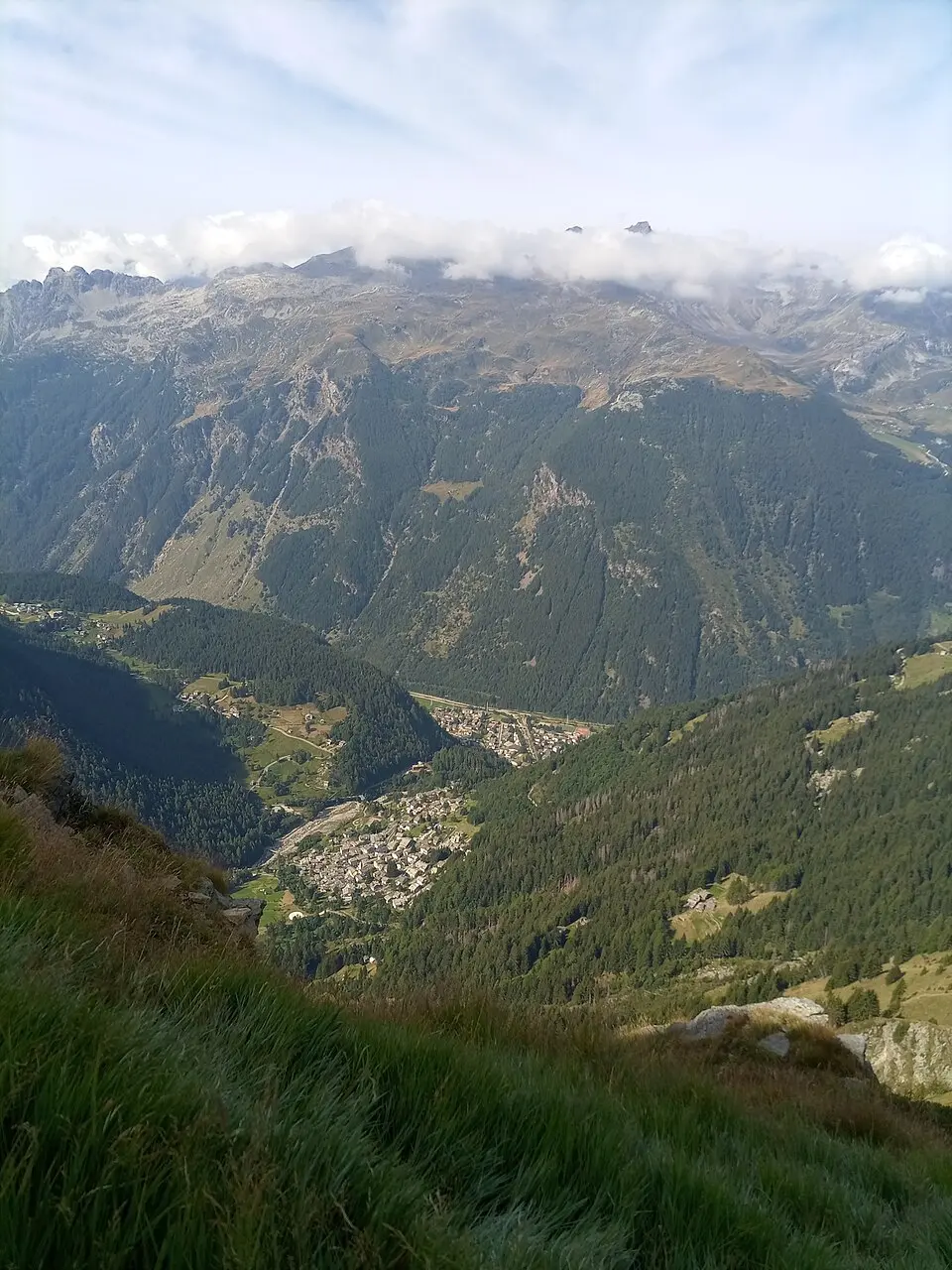 Fraciscio