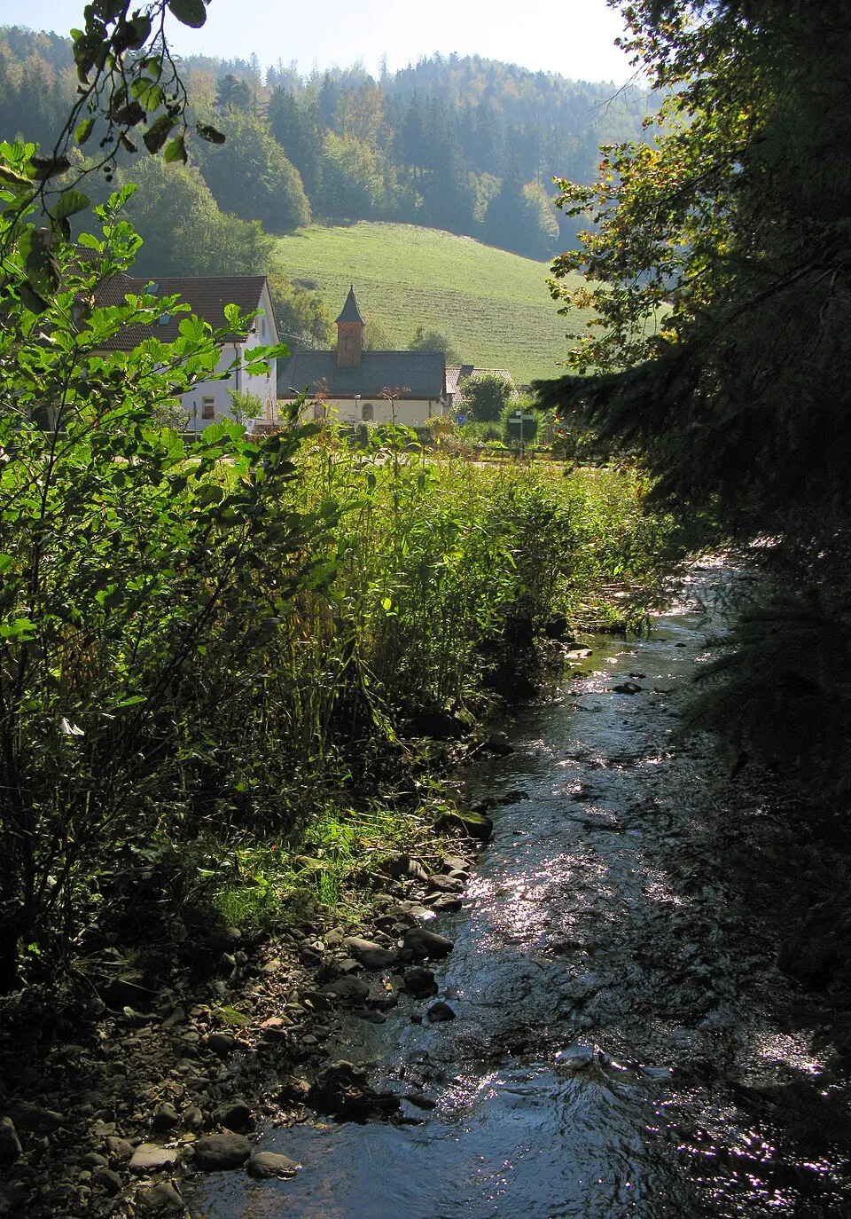 Bild: Andreas Schwarzkopf · CC BY-SA 3.0 Wagensteigbach
