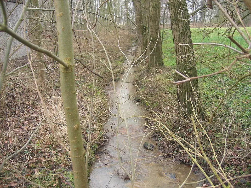 Dornmühlenbach