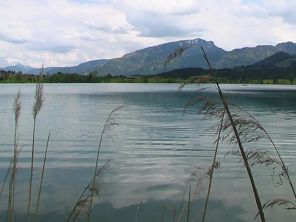Walchsee