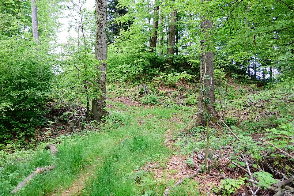 Bänkelsteg, Wallanlage