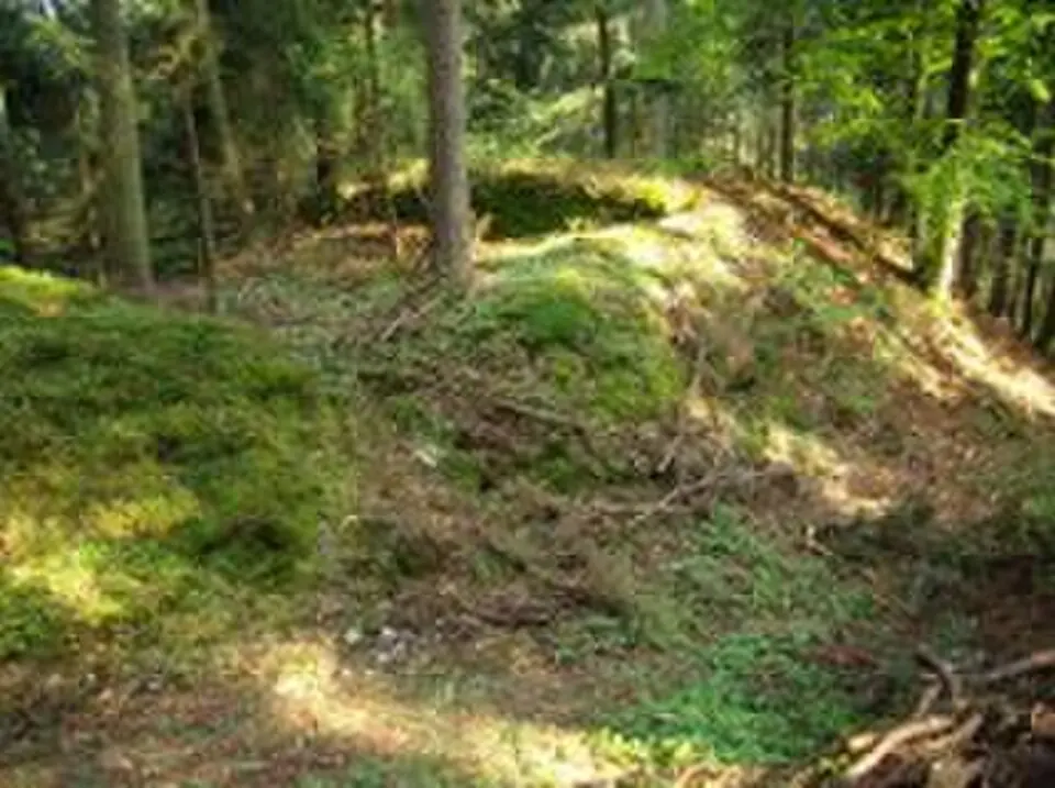 Bild: Christian Steingruber · CC BY-SA 3.0 Burgstall Waldburg (Oberösterreich)