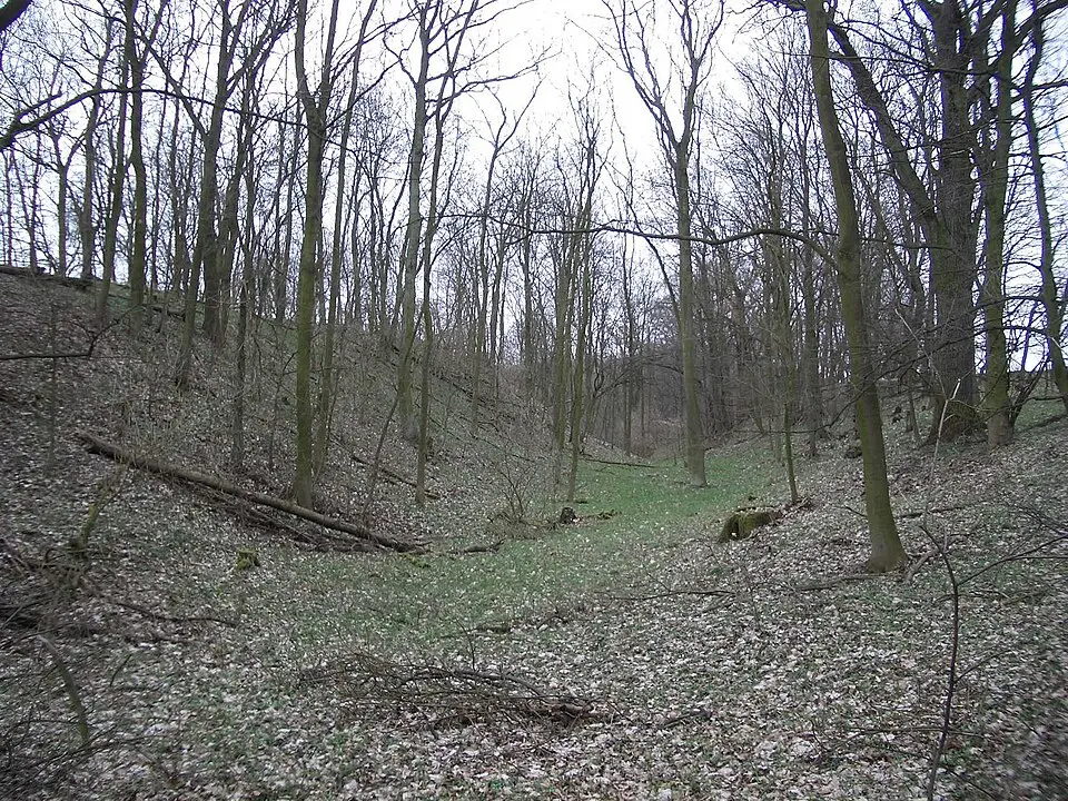Reitweiner Wallberge