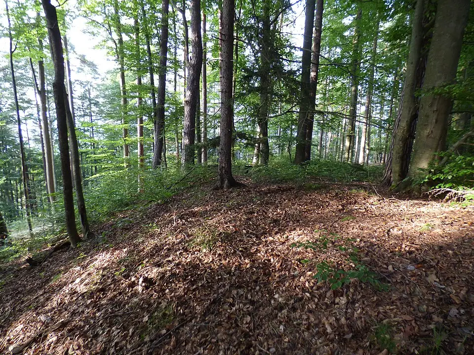 Wallanlage Sechzigerberg