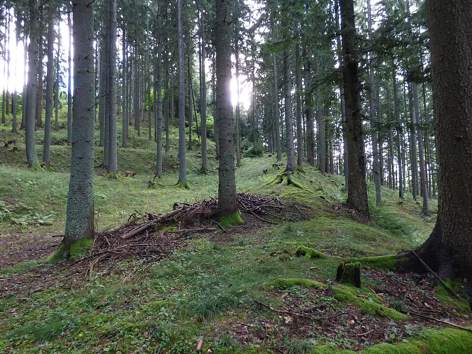 Römische Stadt auf dem Magdalensberg
