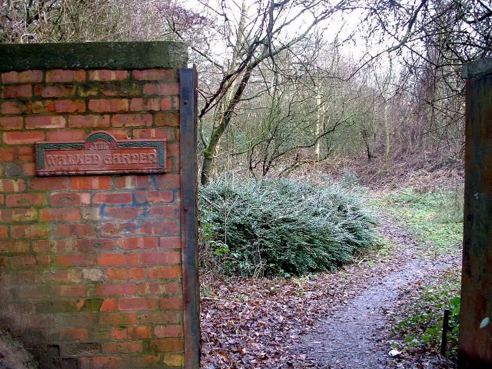 Birchwood