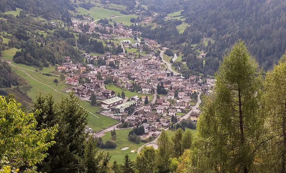 Cogolo