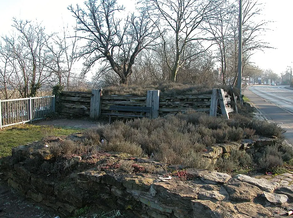 Burgwall Briesnitz