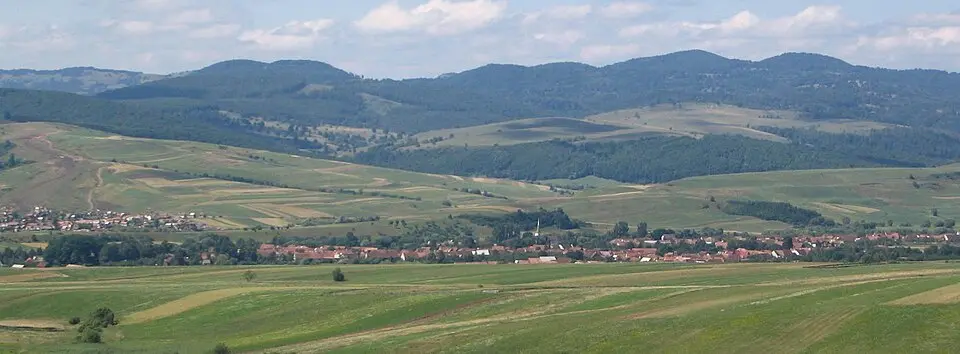 Brăduț