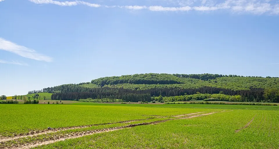 Gaulskopf