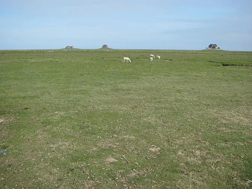 Nordstrandischmoor