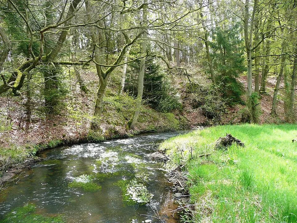 Warnau