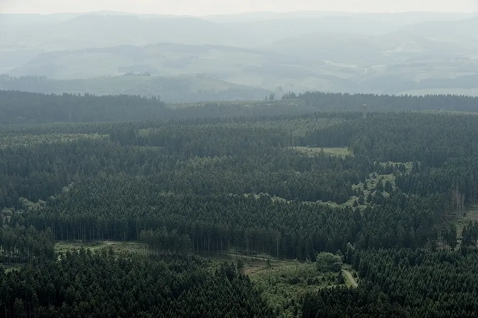 Plackweghöhe