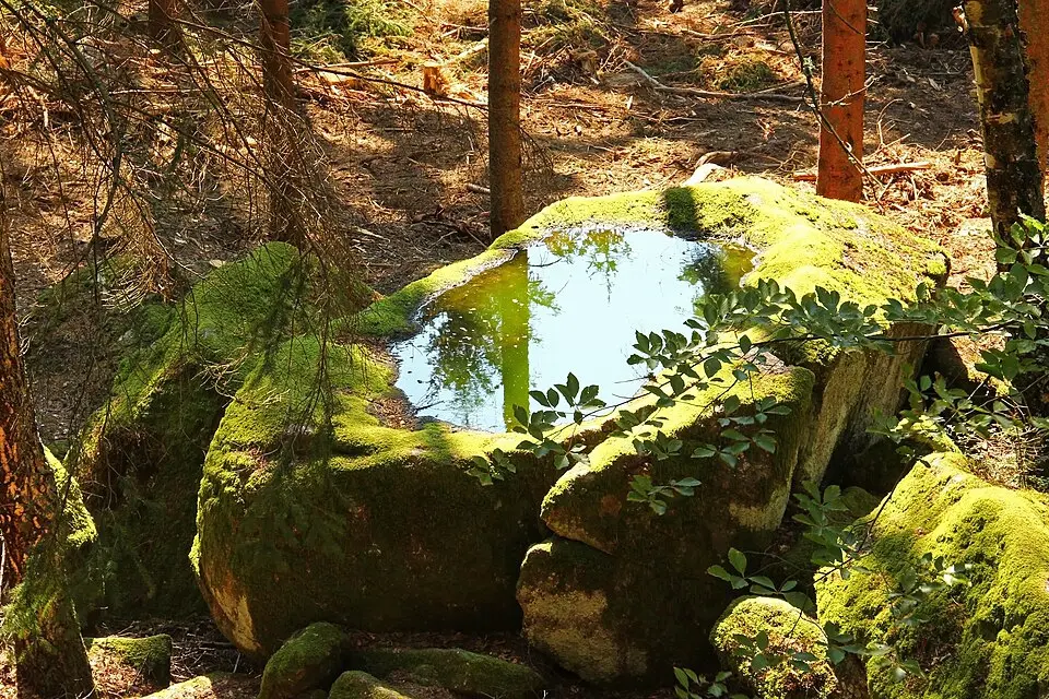 Warzenstein