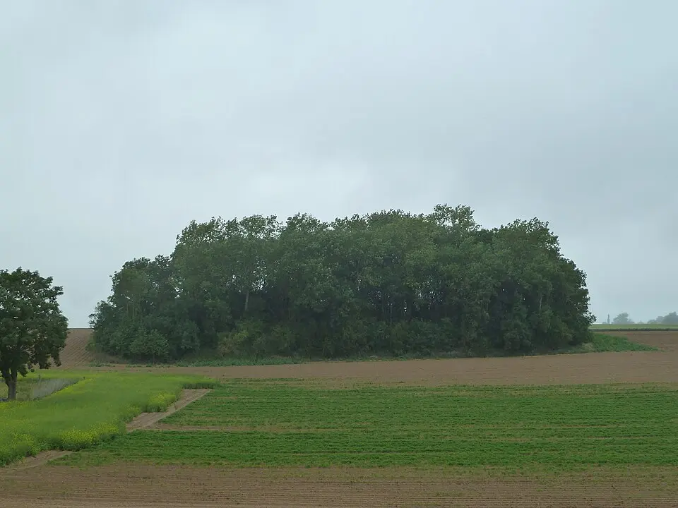 Tumuli van het Bois des Tombes